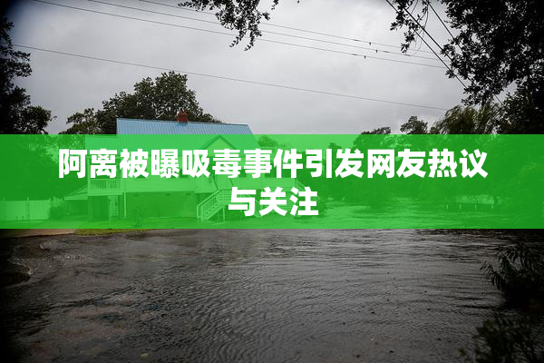 阿离被曝吸毒事件引发网友热议与关注