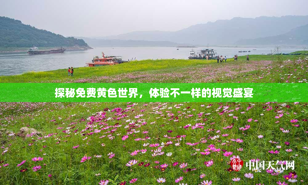 探秘免费黄色世界，体验不一样的视觉盛宴