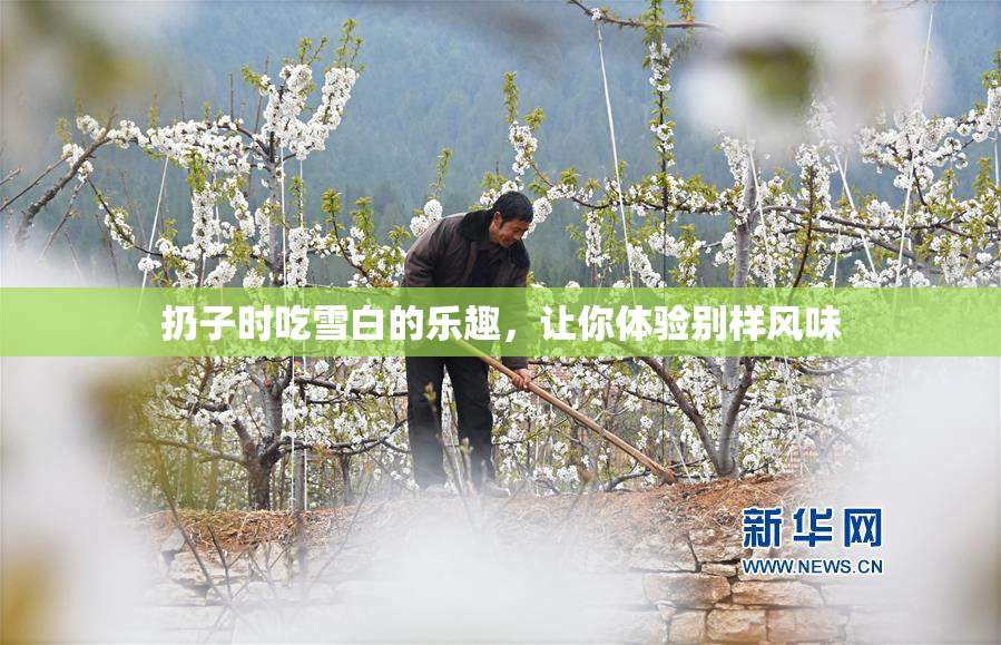 扔子时吃雪白的乐趣，让你体验别样风味