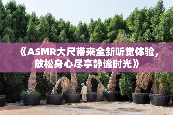 《ASMR大尺带来全新听觉体验，放松身心尽享静谧时光》