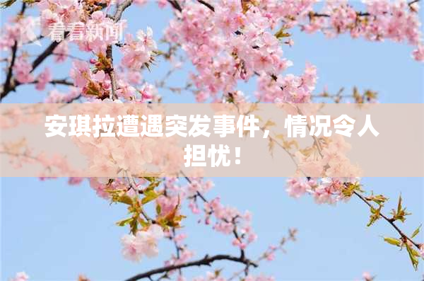 安琪拉遭遇突发事件，情况令人担忧！