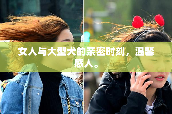 女人与大型犬的亲密时刻，温馨感人。