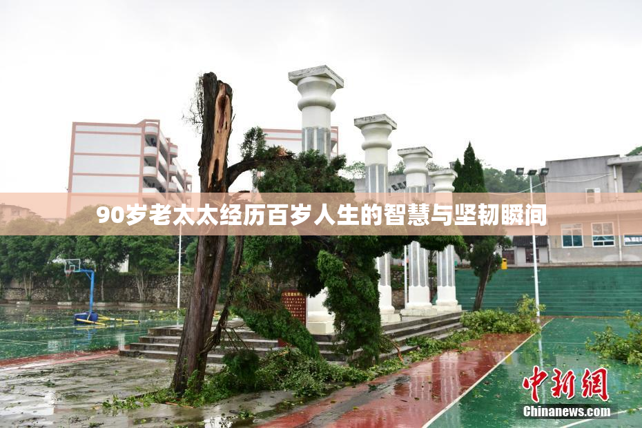 90岁老太太经历百岁人生的智慧与坚韧瞬间