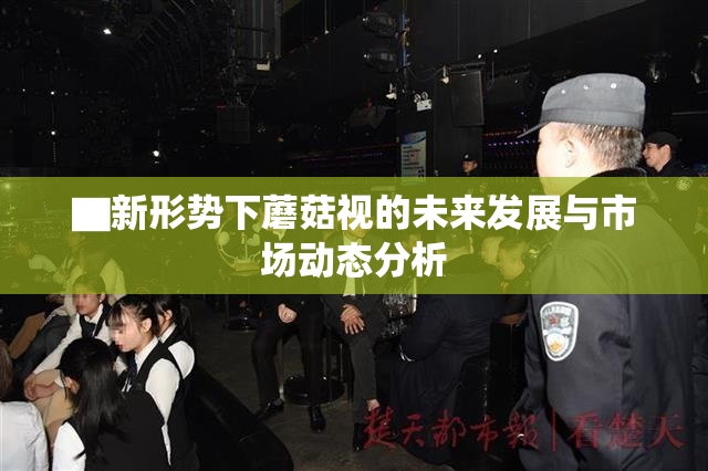 ▇新形势下蘑菇视的未来发展与市场动态分析