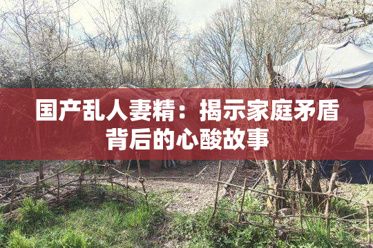 国产乱人妻精：揭示家庭矛盾背后的心酸故事