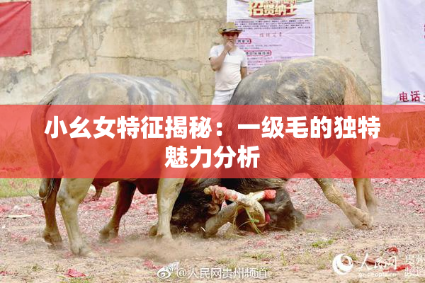 小幺女特征揭秘：一级毛的独特魅力分析