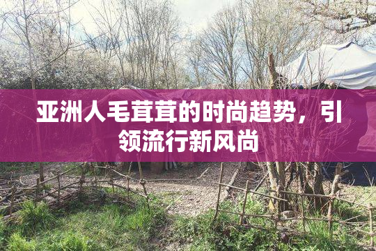 亚洲人毛茸茸的时尚趋势，引领流行新风尚