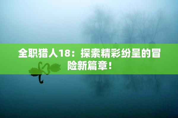 全职猎人18：探索精彩纷呈的冒险新篇章！