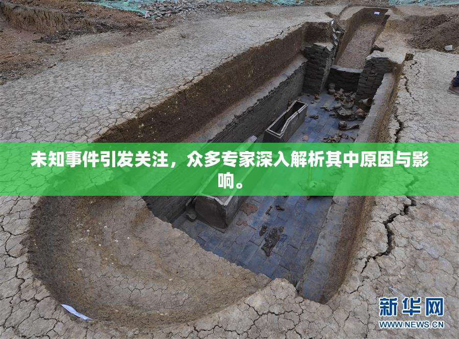 未知事件引发关注，众多专家深入解析其中原因与影响。