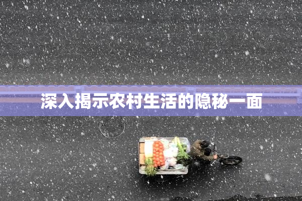 深入揭示农村生活的隐秘一面