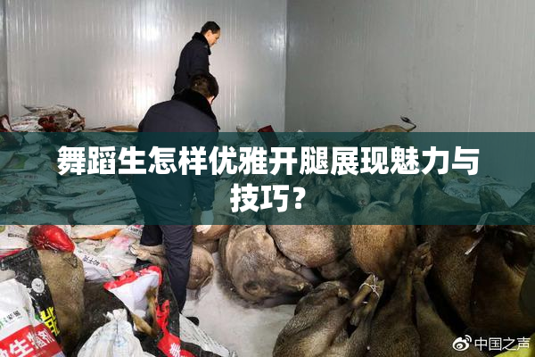 舞蹈生怎样优雅开腿展现魅力与技巧？