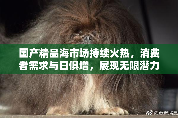 国产精品海市场持续火热，消费者需求与日俱增，展现无限潜力。