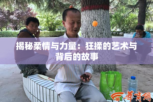 揭秘柔情与力量：狂揉的艺术与背后的故事