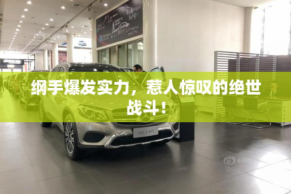 纲手爆发实力，惹人惊叹的绝世战斗！