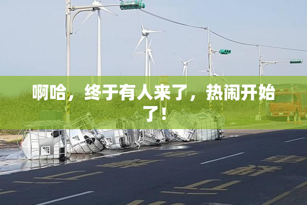 啊哈，终于有人来了，热闹开始了！
