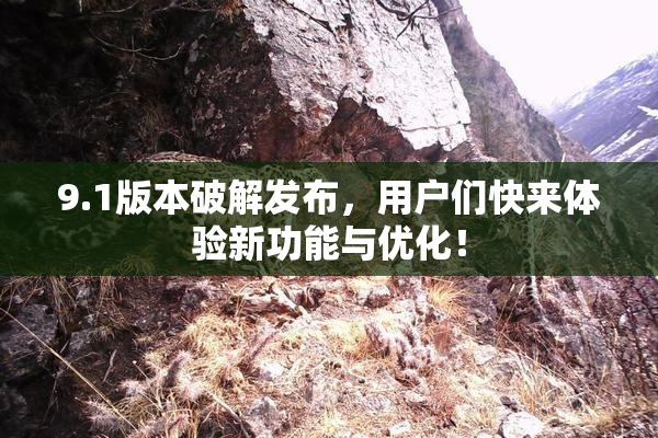 9.1版本破解发布，用户们快来体验新功能与优化！