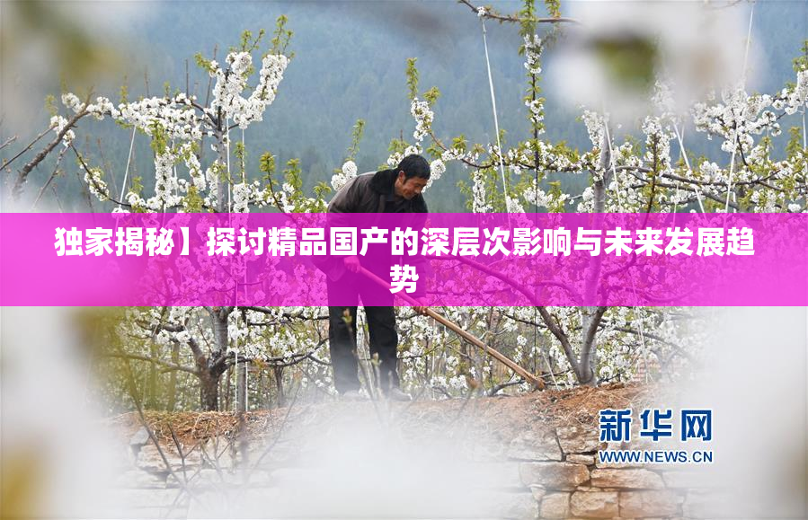 独家揭秘】探讨精品国产的深层次影响与未来发展趋势