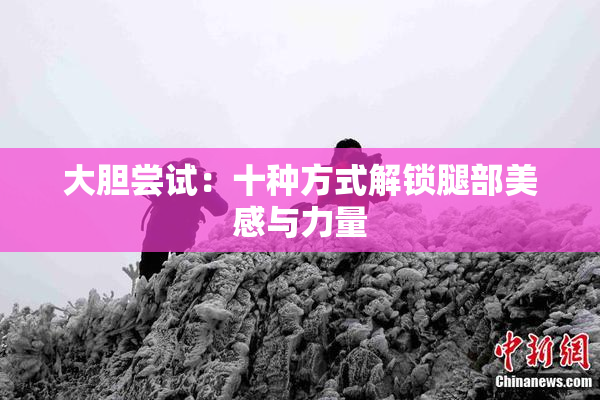 大胆尝试：十种方式解锁腿部美感与力量