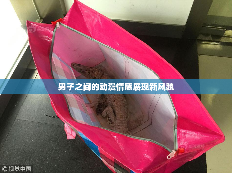 男子之间的动漫情感展现新风貌