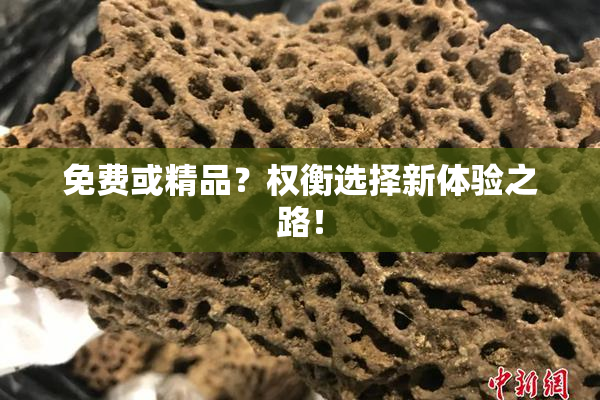 免费或精品？权衡选择新体验之路！