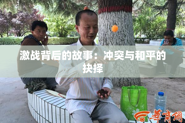 激战背后的故事：冲突与和平的抉择