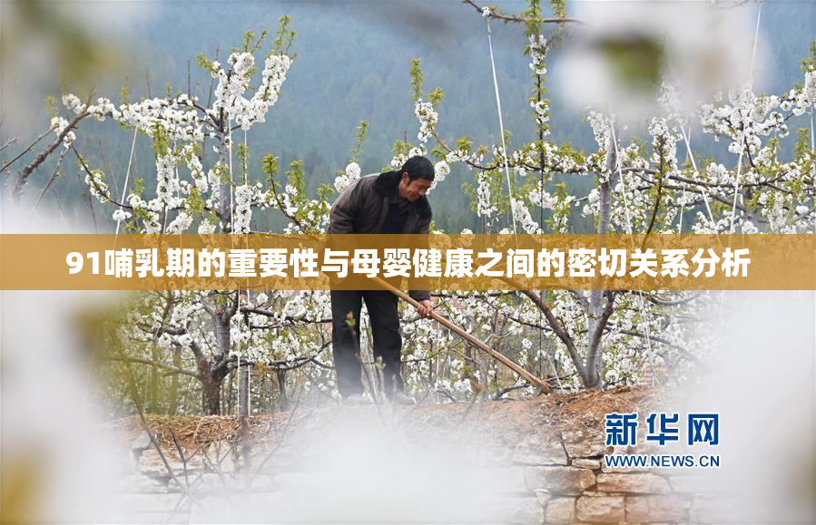 91哺乳期的重要性与母婴健康之间的密切关系分析