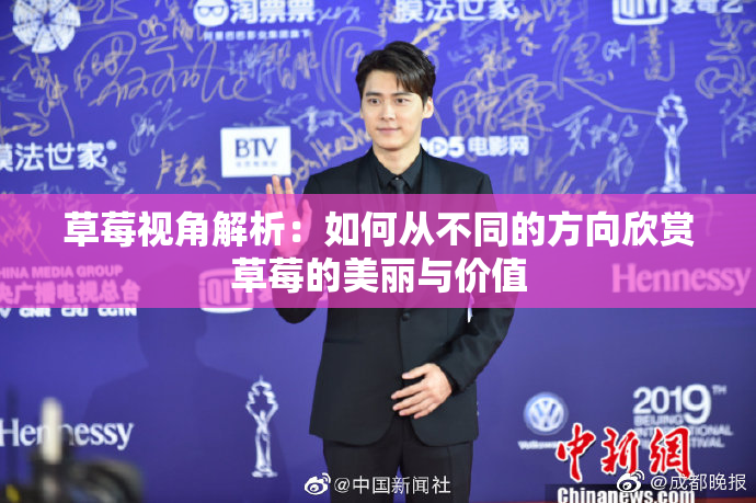 草莓视角解析：如何从不同的方向欣赏草莓的美丽与价值