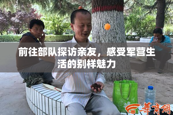 前往部队探访亲友，感受军营生活的别样魅力