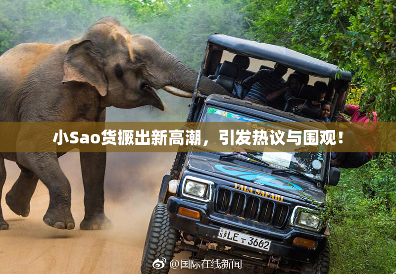 小Sao货撅出新高潮，引发热议与围观！