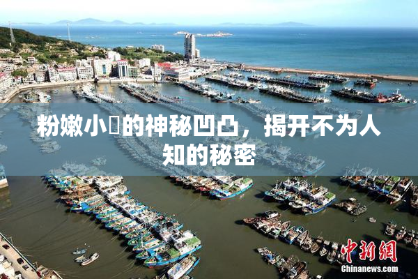 粉嫩小泬的神秘凹凸，揭开不为人知的秘密