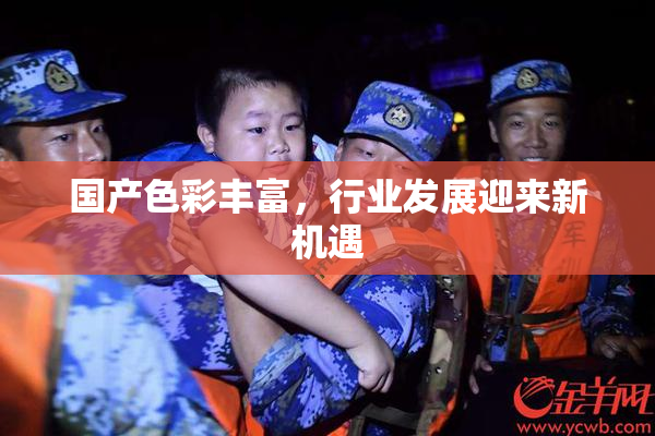 国产色彩丰富，行业发展迎来新机遇
