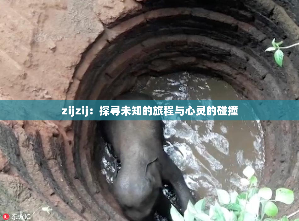 zijzij：探寻未知的旅程与心灵的碰撞
