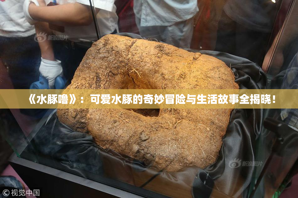 《水豚噜》：可爱水豚的奇妙冒险与生活故事全揭晓！