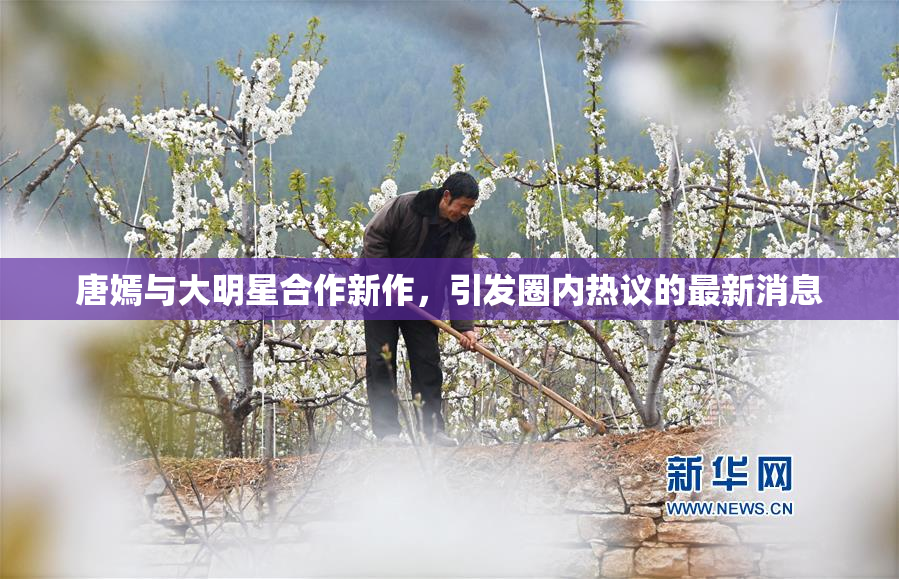 唐嫣与大明星合作新作，引发圈内热议的最新消息