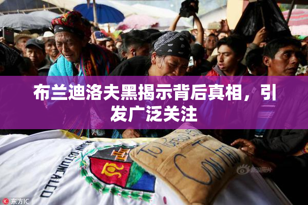 布兰迪洛夫黑揭示背后真相，引发广泛关注