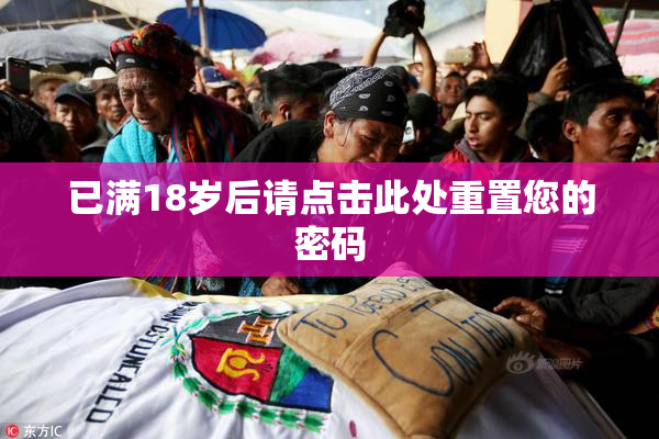 已满18岁后请点击此处重置您的密码