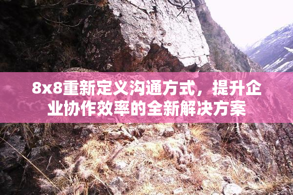 8x8重新定义沟通方式，提升企业协作效率的全新解决方案
