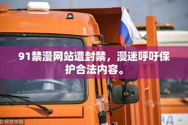 91禁漫网站遭封禁，漫迷呼吁保护合法内容。