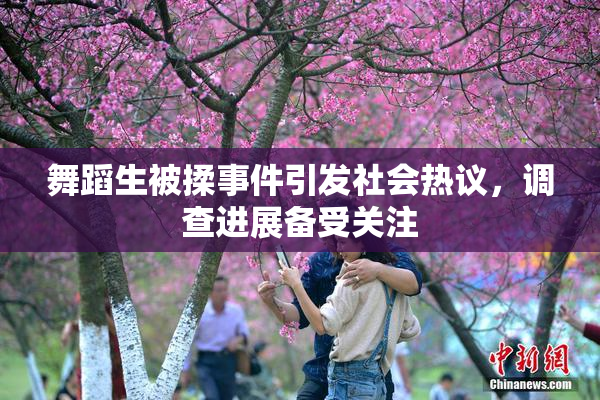 舞蹈生被揉事件引发社会热议，调查进展备受关注