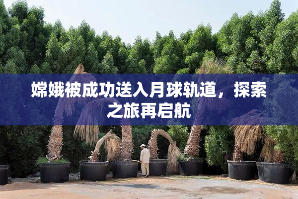 嫦娥被成功送入月球轨道，探索之旅再启航
