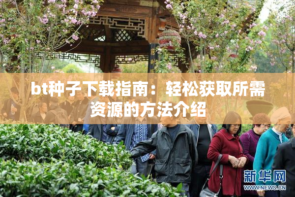 bt种子下载指南：轻松获取所需资源的方法介绍