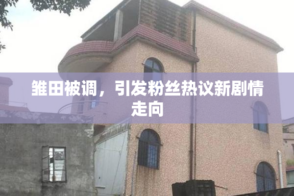 雏田被调，引发粉丝热议新剧情走向