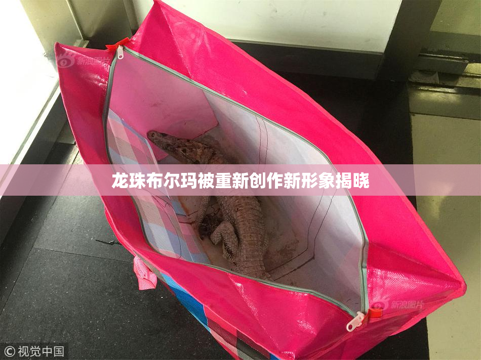 龙珠布尔玛被重新创作新形象揭晓