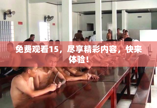 免费观看15，尽享精彩内容，快来体验！