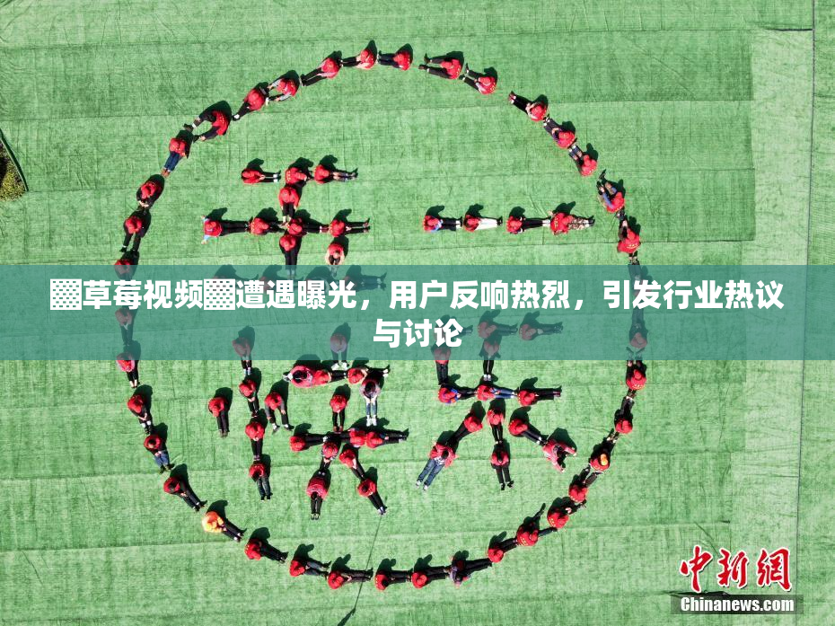 ▓草莓视频▓遭遇曝光，用户反响热烈，引发行业热议与讨论