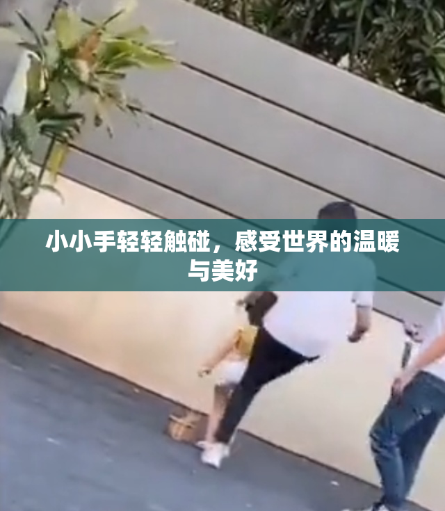 小小手轻轻触碰，感受世界的温暖与美好