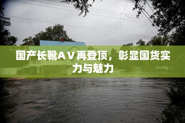 国产长靴AⅤ再登顶，彰显国货实力与魅力