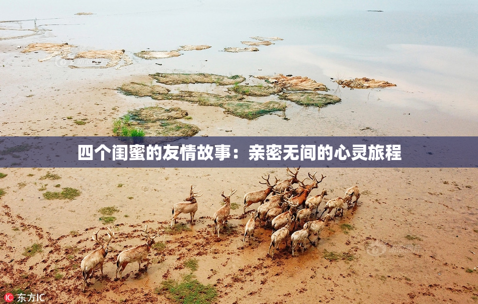 四个闺蜜的友情故事：亲密无间的心灵旅程