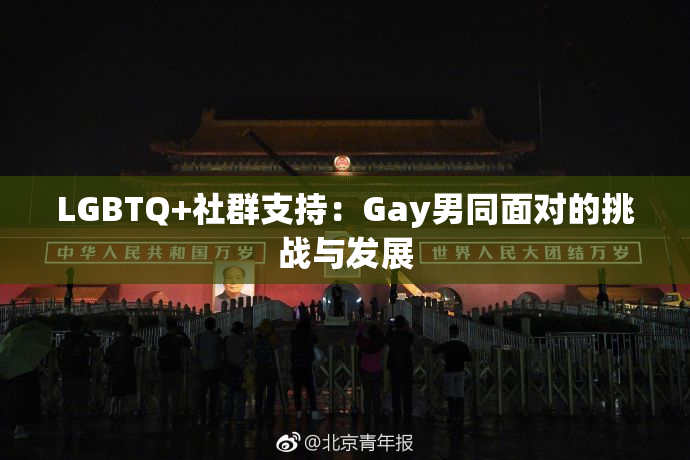 LGBTQ+社群支持：Gay男同面对的挑战与发展