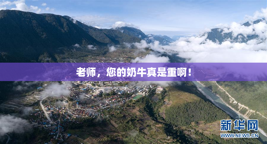 老师，您的奶牛真是重啊！